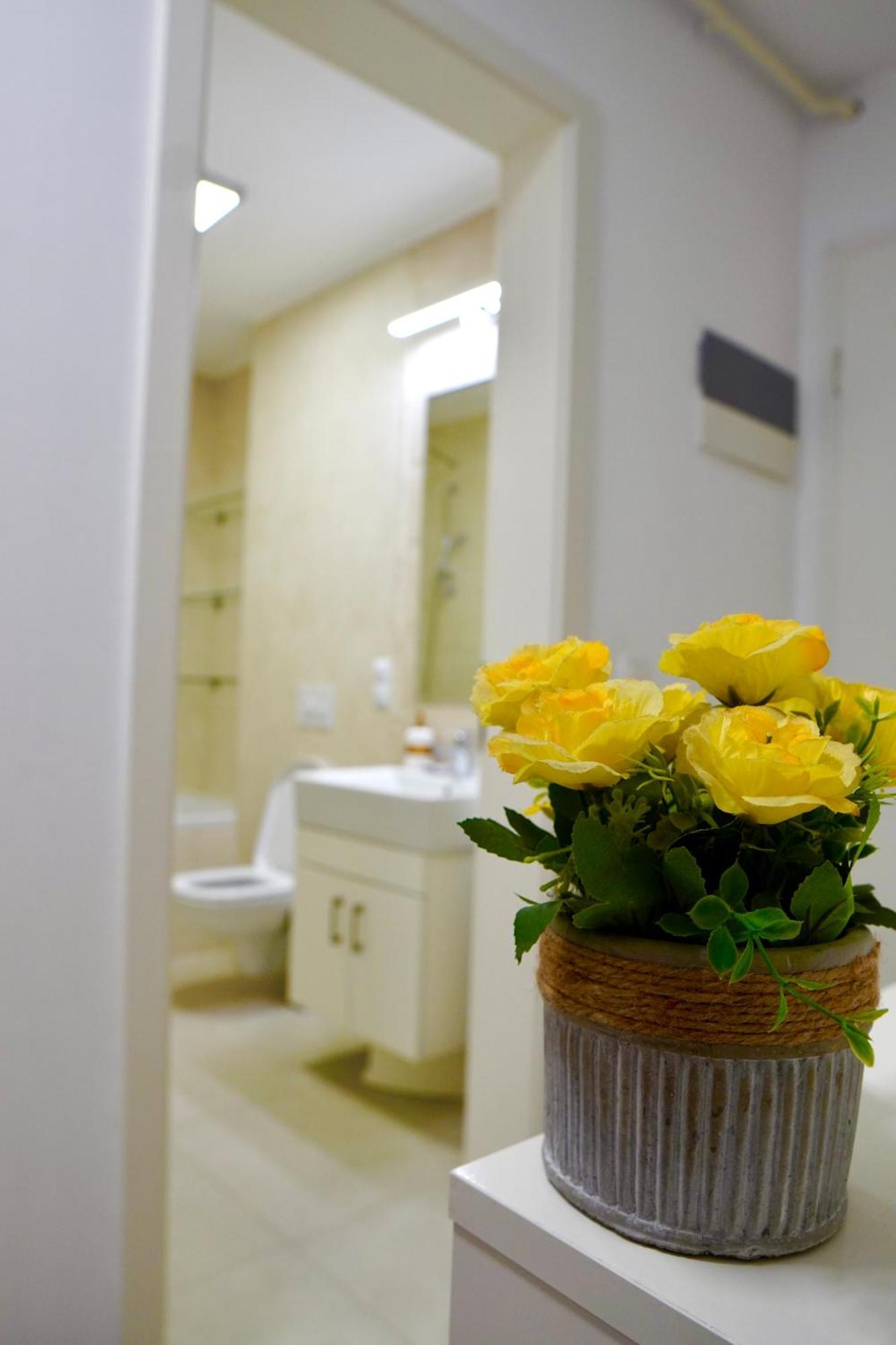 Coresi Zaharia Stancu Luxury 2 Apartment *